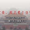 方寸大乱打一动物准确答案生肖